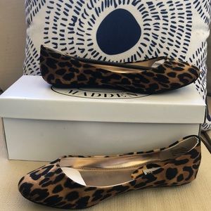 Steve Madden P-Heaven Leopard Flats
